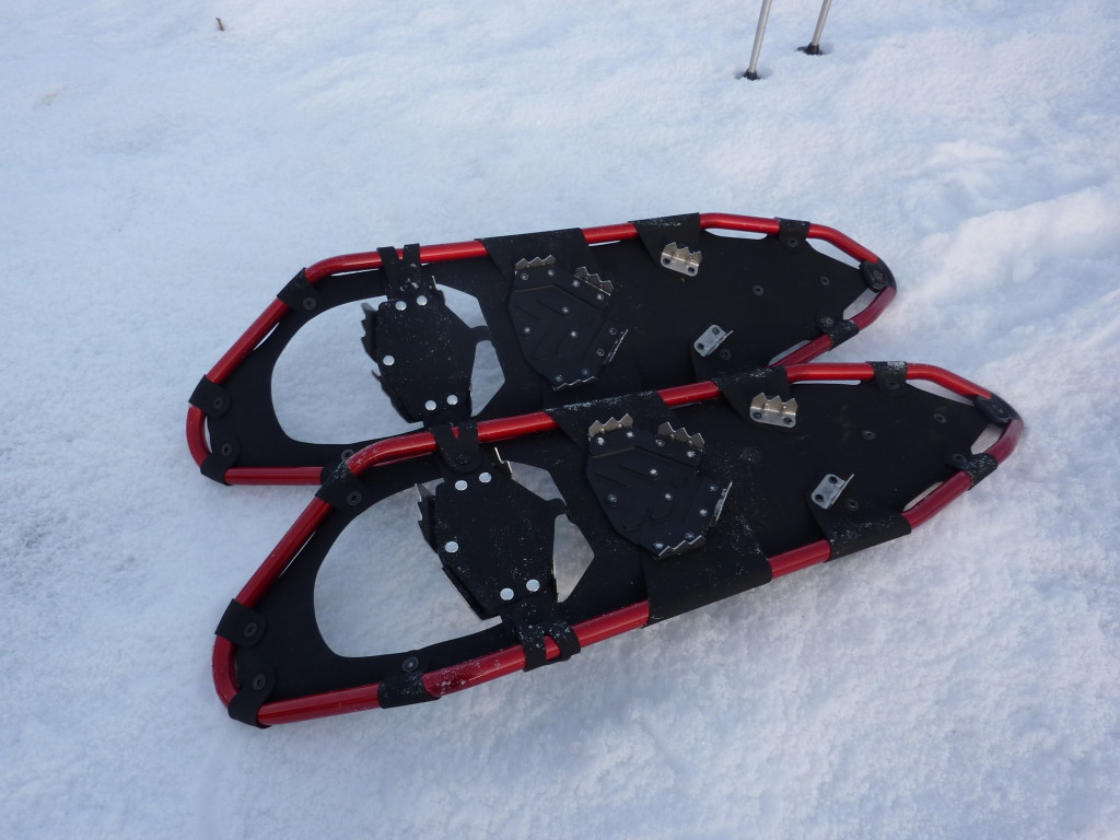 The Best Snow Shoes Types At A Glance Dansko Professional