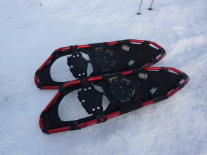 mountain snow shoes